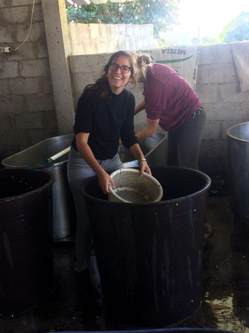Asha Sharma and Alyssa DeVincentis wash coffee to learn about the post-harvest process