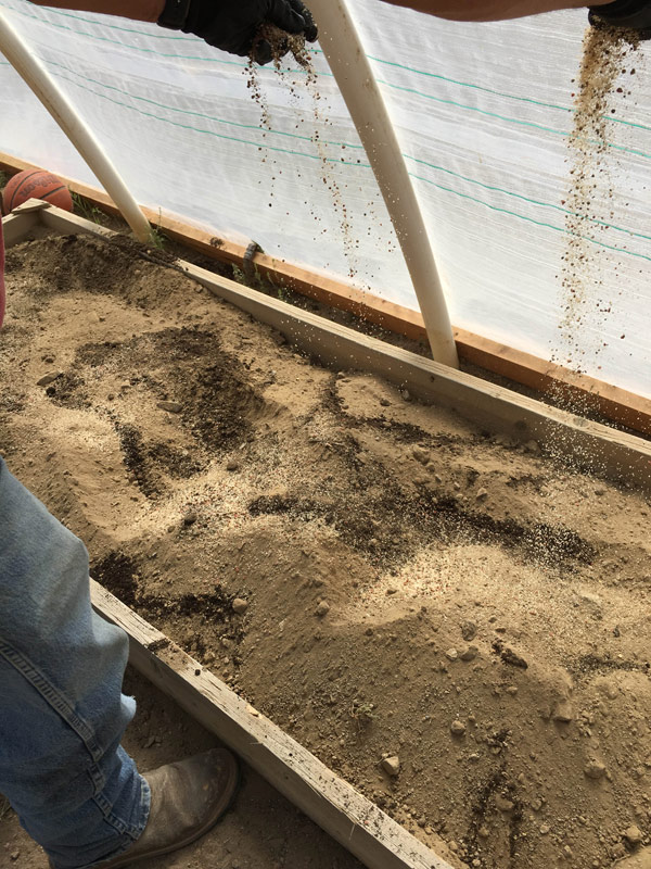 Installing raised beds at the Standing Rock Elementary School, Navajo, NM