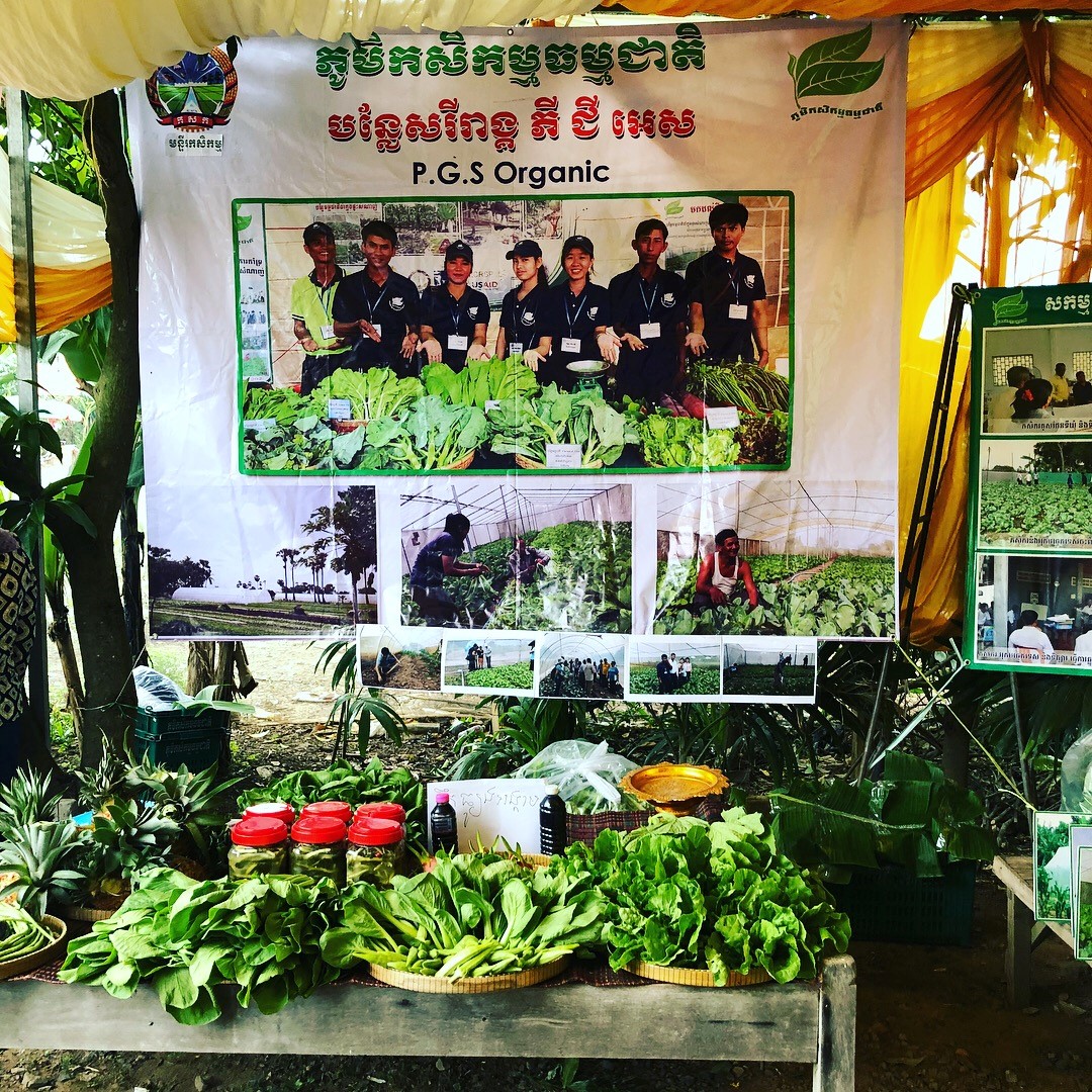 Farmers from the area displaying their PGS vegetables at the training