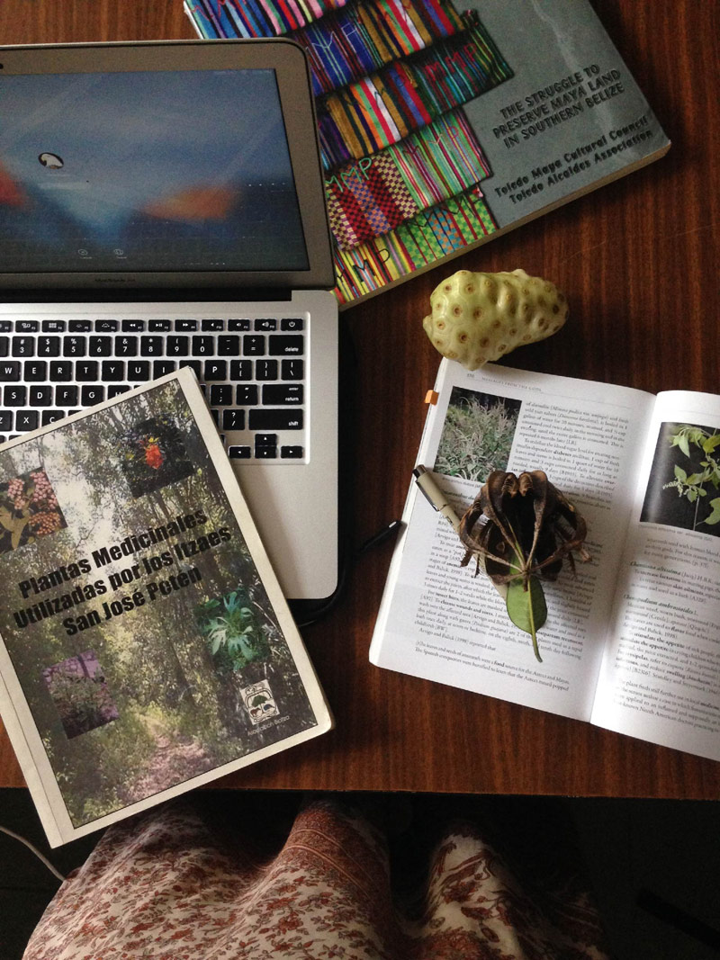 sara_4.jpg What many of my days looked like in the ProPetén office – digging through print materials and adding information to the digital database