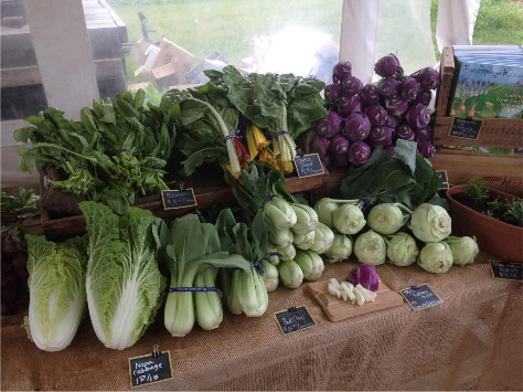 The farm stand at White Barn Farm, Wrentham, Massachusetts 