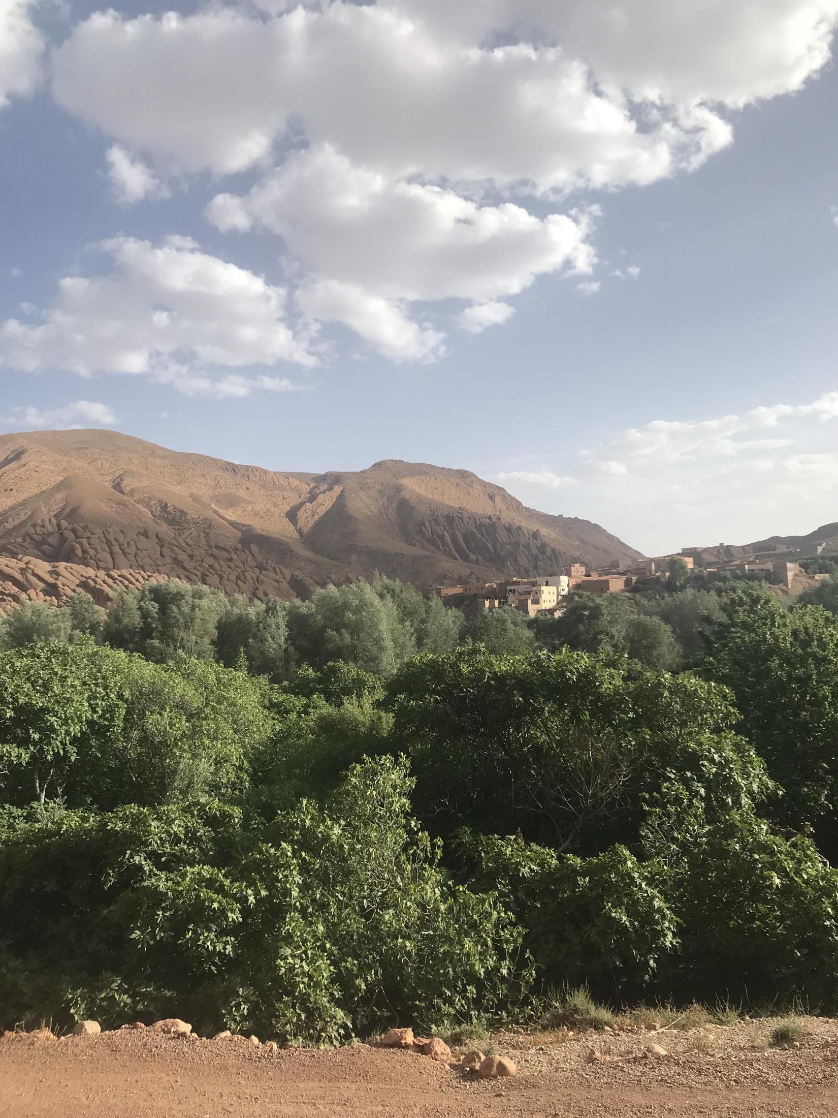 View of agricultural river valley and town, Dades Valley, Morocco.