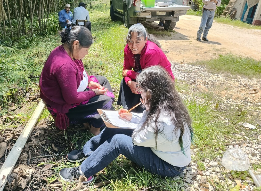 Three people sitting on grass by a gravel road, writing on papers beside a pickup truck