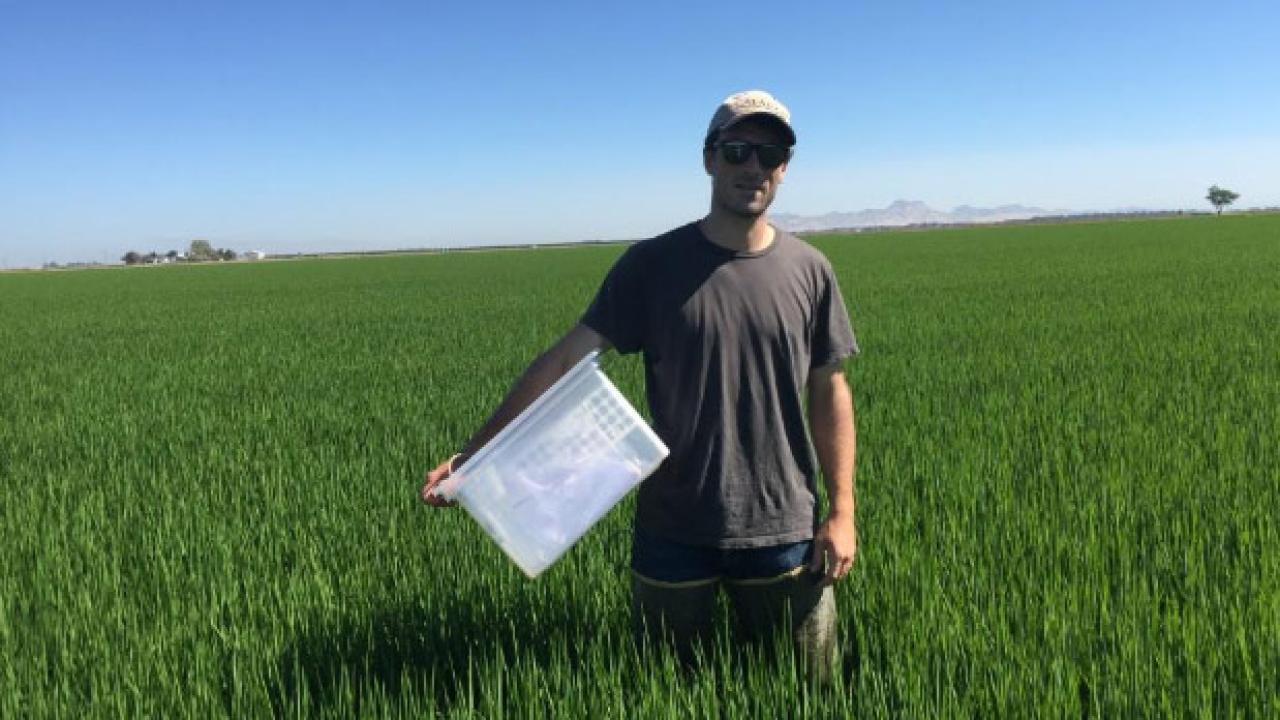 Figure 1: Researcher in the Field in July Figure 1: Researcher in the Field in July