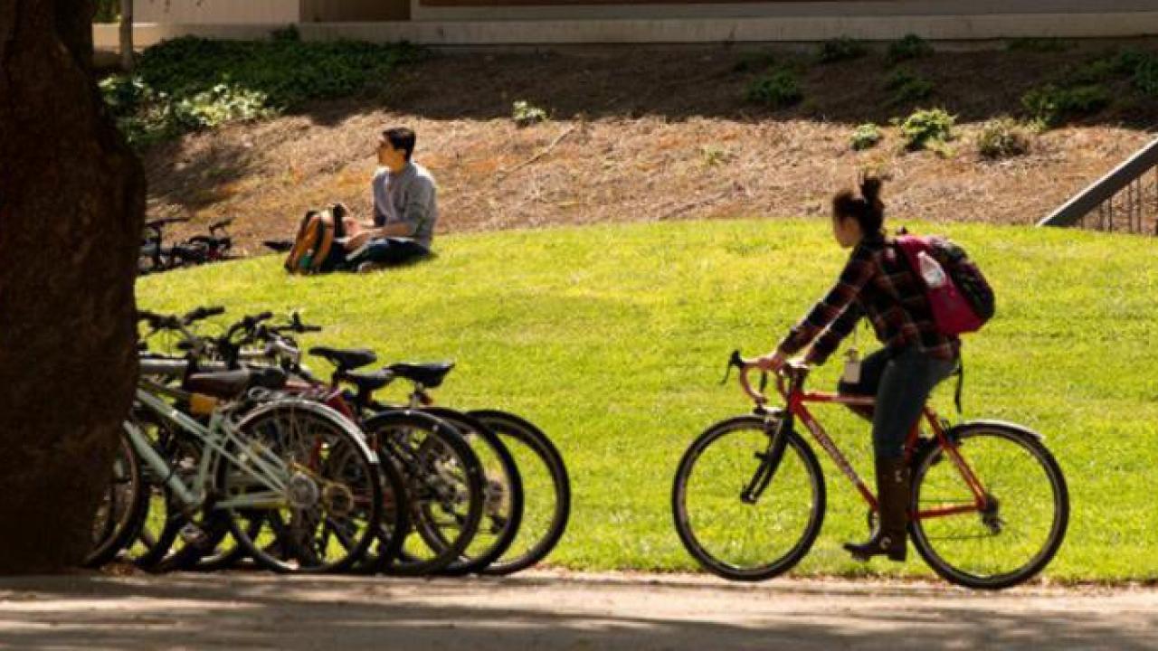 Biking to work at UC Davis